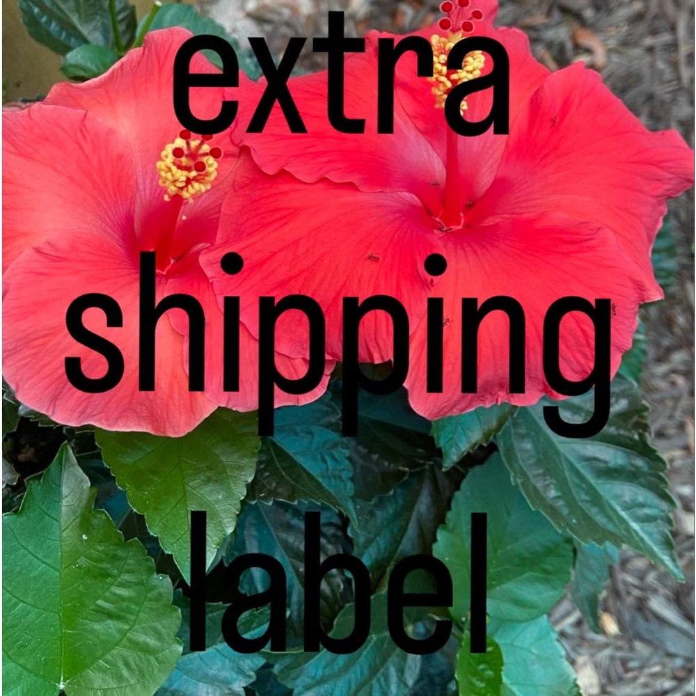 Extra shipping label